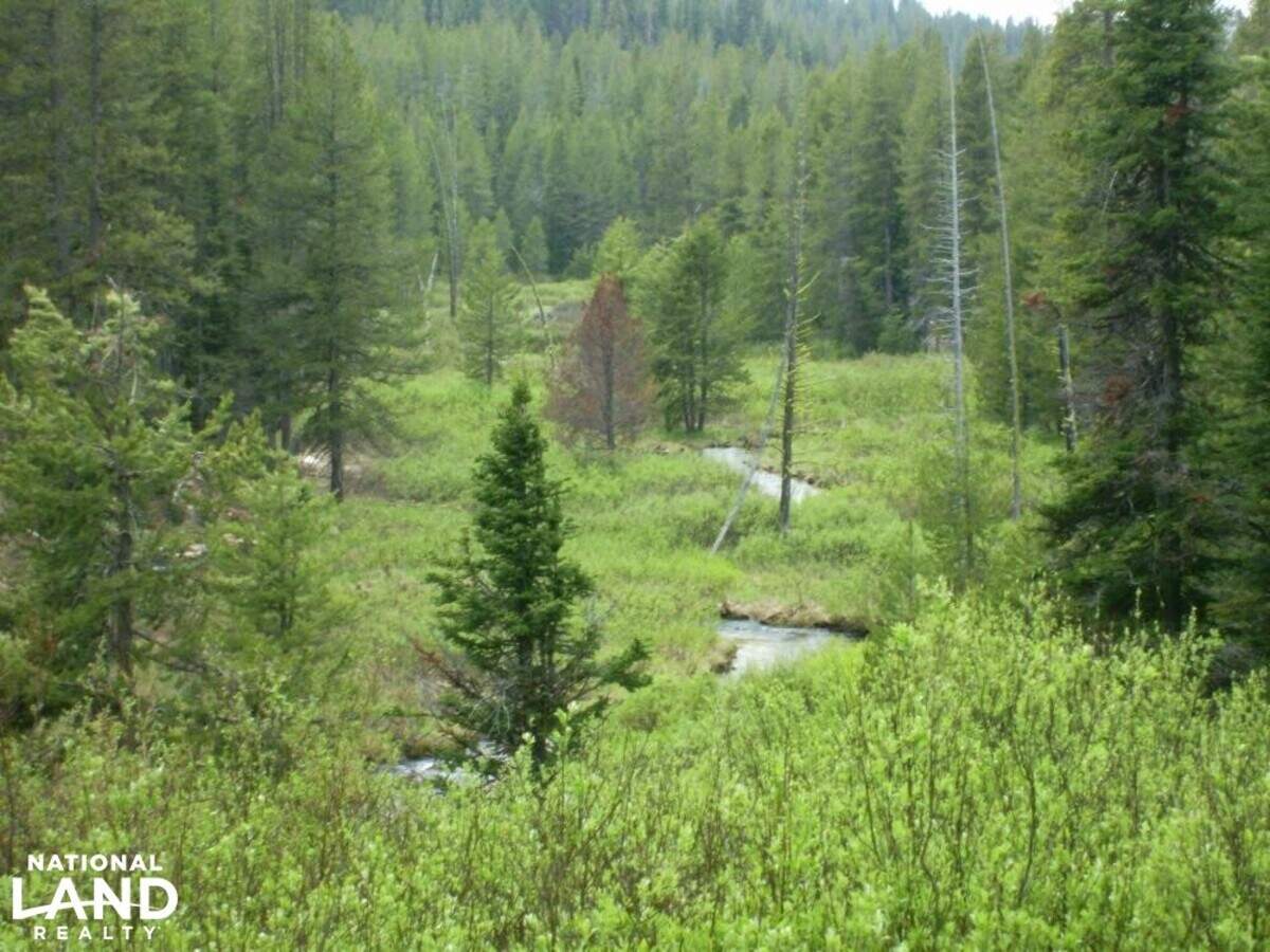 Grimes Creek winds near the Mammoth Mine in Boise County.
