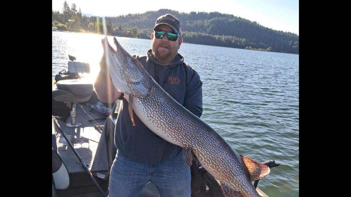 4-foot carnivorous fish breaks Idaho catch-and-release record