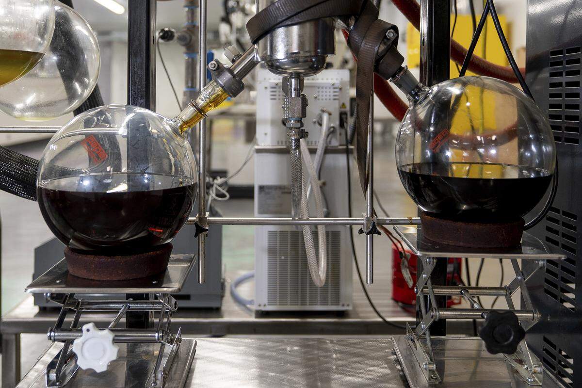 Processed hemp oil, valued at $12,000 per ounce, fills containers at Ananda Hemp in Cynthiana, Ky., Thursday, Jan 24, 2019. (AP Photo/Bryan Woolston)