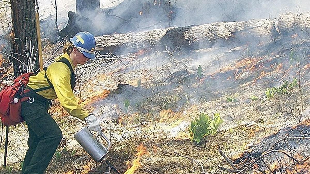 Private crews are expected to conduct prescribed burns on private property at 8410 Old Highway 99 SE this week.