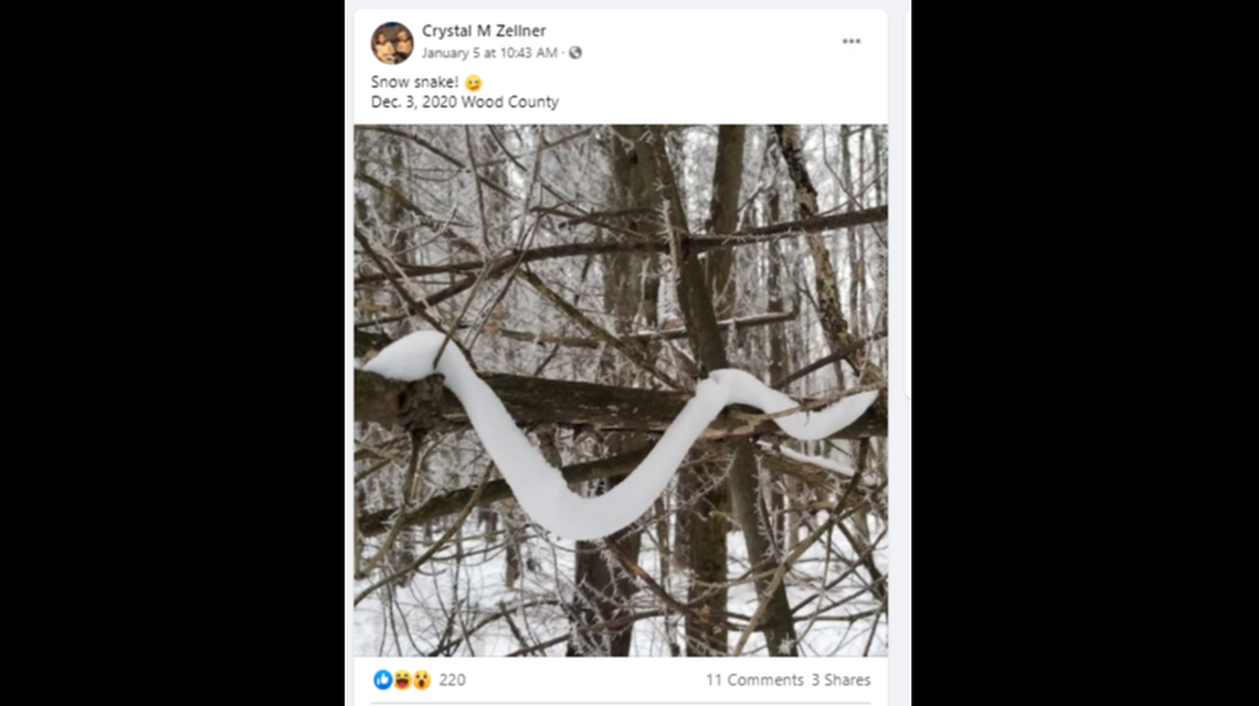 This photo was taken last month in Wood County, Wisconsin, and posted on the Badger State Naturalists Facebook page.