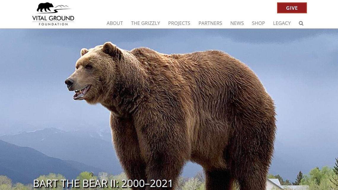 Bart the Bear II, a grizzly bear who starred in television in films such as “Game of Thrones” and “Into the Wild,” has died at a wildlife refuge in Utah.
