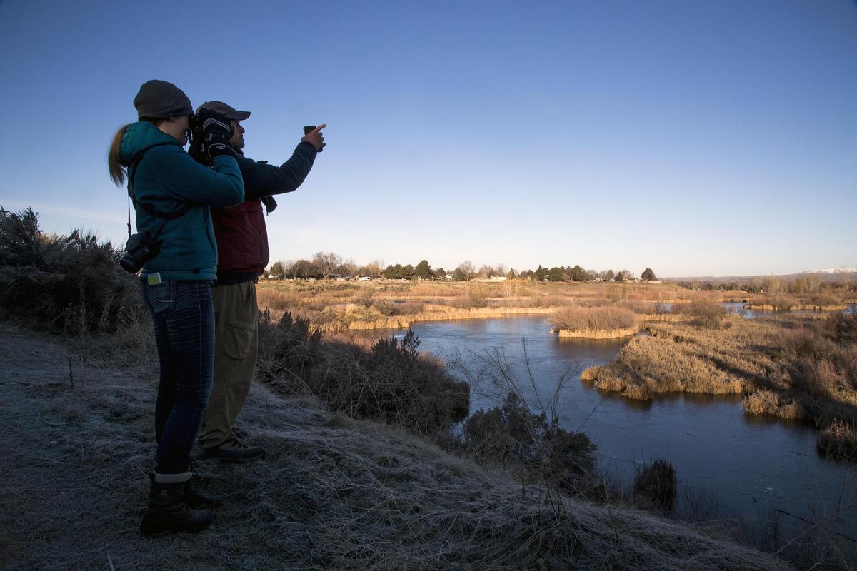Jay Carlisle and his wife Heidi Ward look for species and numbers of birds at Hyatt Hidden Lakes Reserve in Boise Saturday, Dec. 22, 2018 during the annual Christmas Bird Count.
