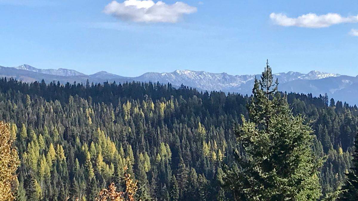 A new trail will connect Bear Basin and Brundage Mountain Resort trail systems with views like this one.