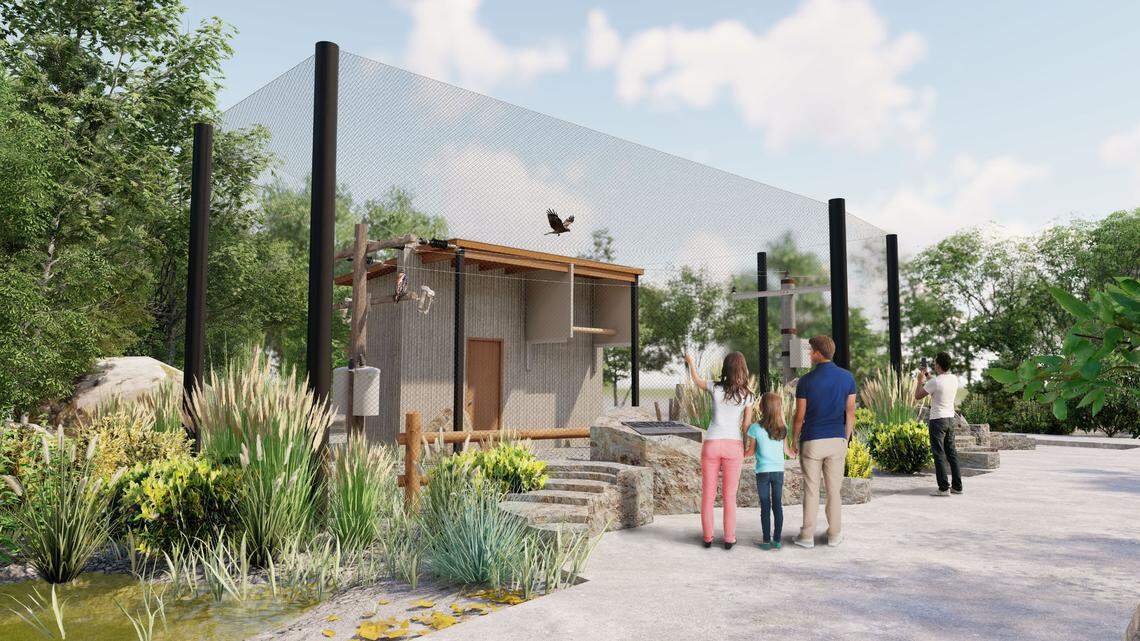 An artist’s rendering of the planned hawk exhibit.