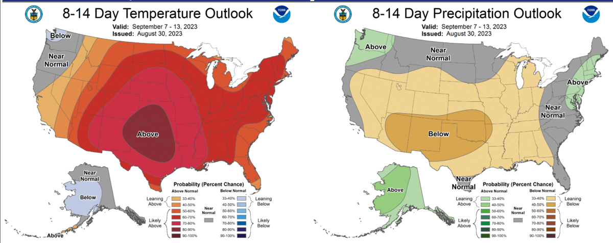 Puget Sound is forecast to have both below-average temperatures and above-average rain over the next two weeks.