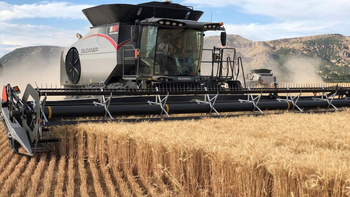 A wheat field is harvested near Ririe in this Idaho Farm Bureau Federation file photo. Idaho and U.S. farmers are facing tough financial times right now, as agricultural commodity prices keep declining while production costs don’t.