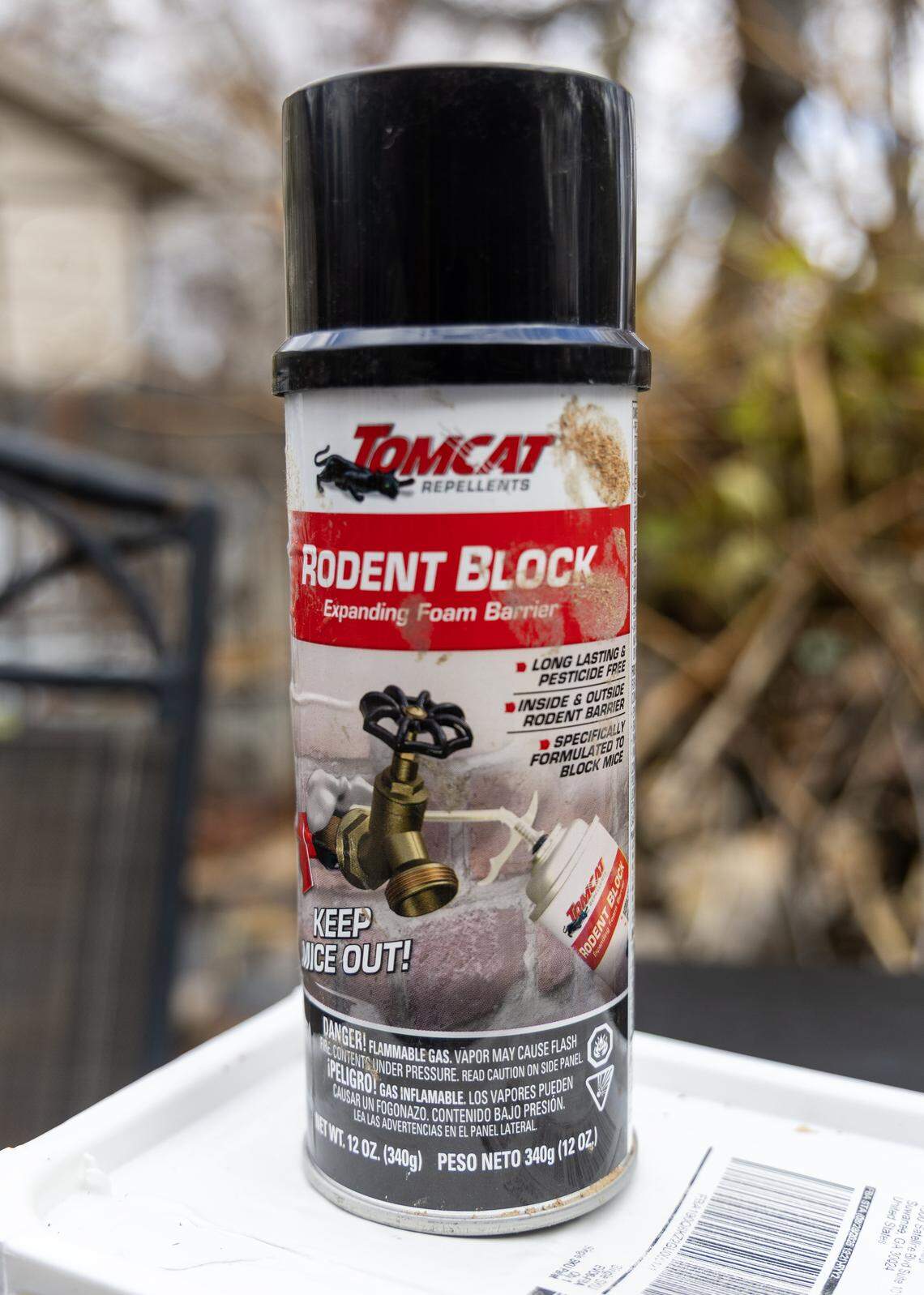 An expanding foam barrier can keep rats out of cracks and spaces in walls.