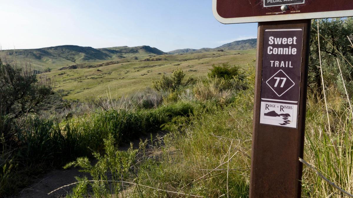 Sweet Connie is one of those Boise Foothill trails that may raise questions, like who is Connie, and where did the name come from?