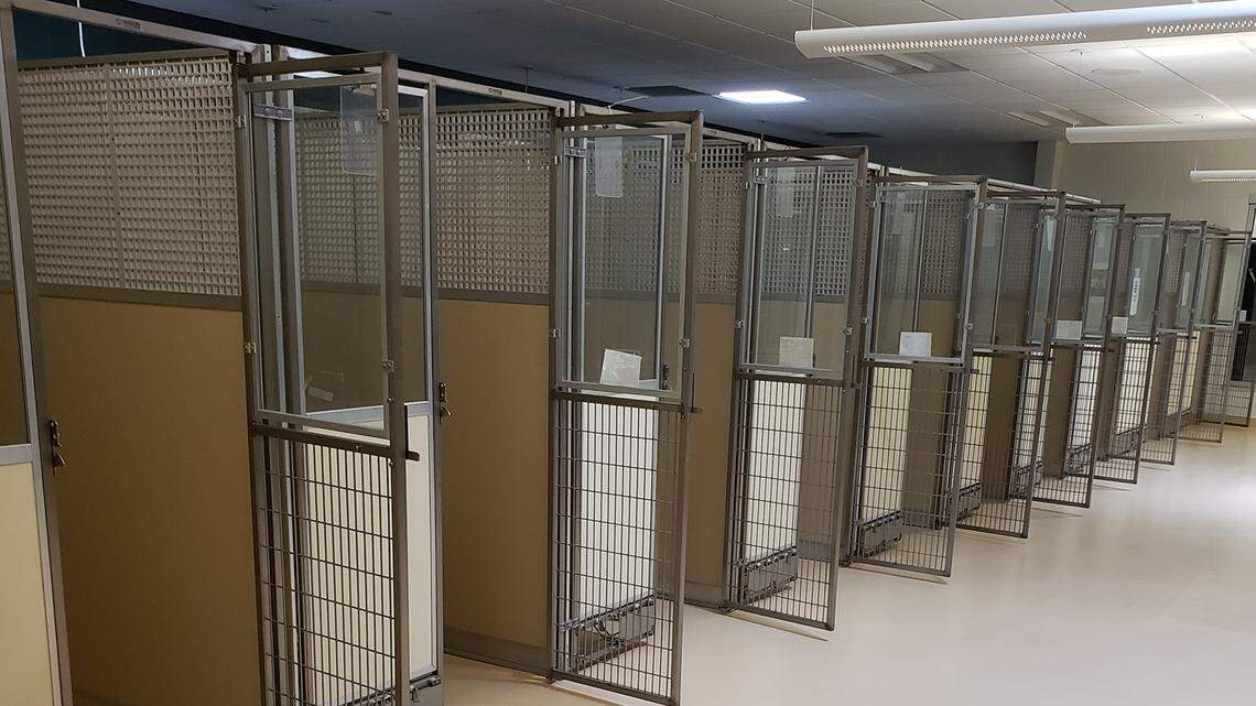 Stay-home orders are a new-home lifeline for dogs. One Idaho animal shelter is empty