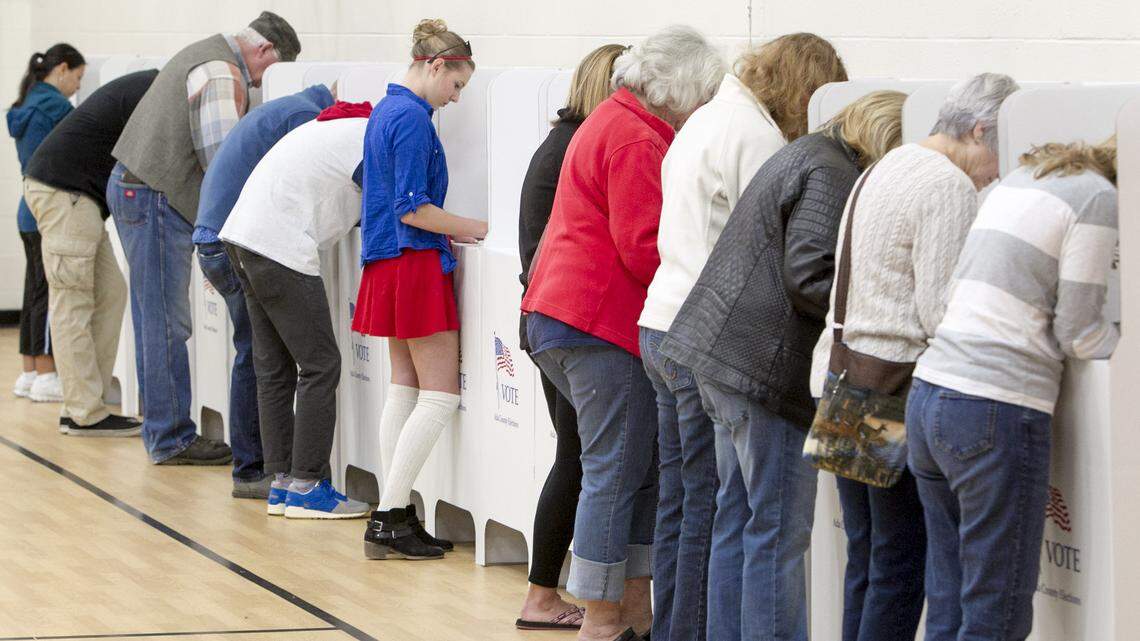 Voters at Cynthia Mann Elementary School in Boise in November 2016. Idahoans will be asked to decide this fall on whether to expand Medicaid in this state.