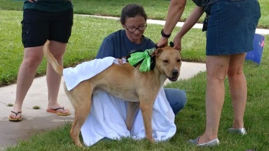 Support local nonprofits and get a clean pet at Broadway Vet