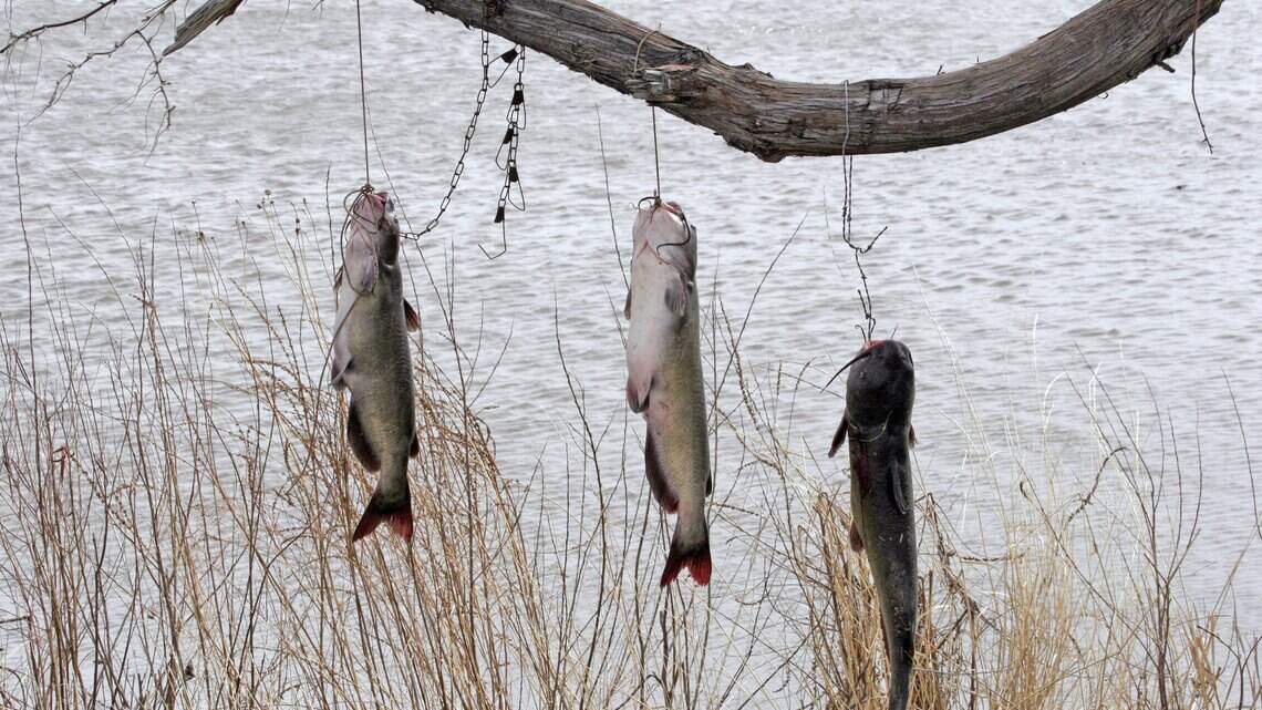 If you don’t want to travel far to go fishing, try these 5 hot spots near Boise