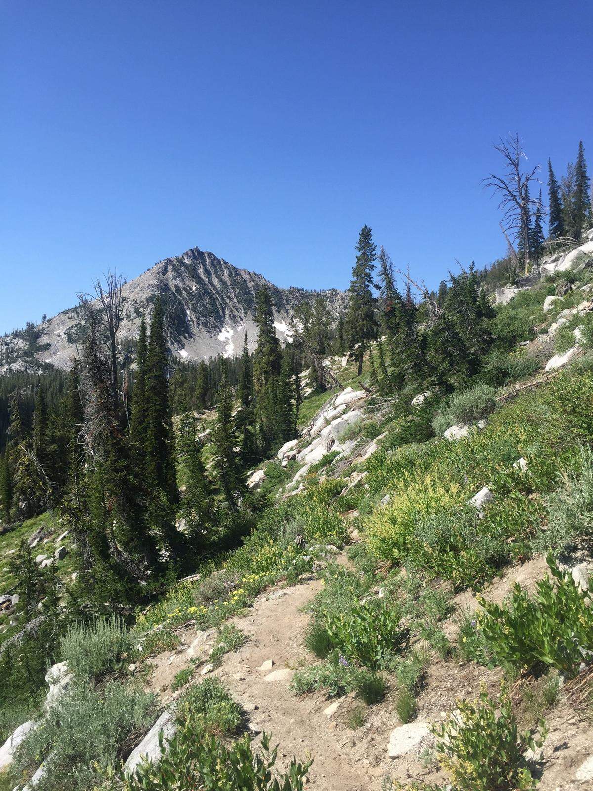 A lookout tower on top of Trinity Mountain is visible from the Rainbow Basin Trail on July 27, 2019. The lookout is the highest drivable point in Idaho, according to the Forest Service.