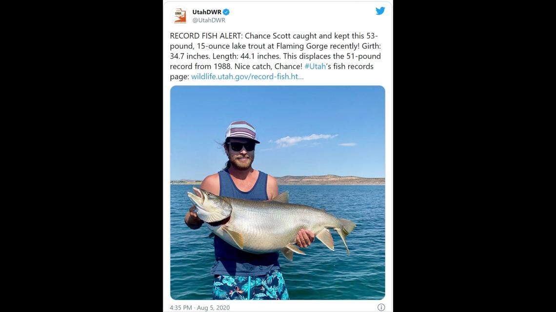 Fisherman reels in whopper of a trout, shattering the 32-year record in Utah