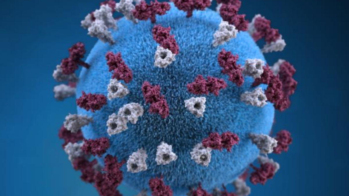 Measles — which can live in the air up to two hours after someone infected leaves — is highly contagious. 