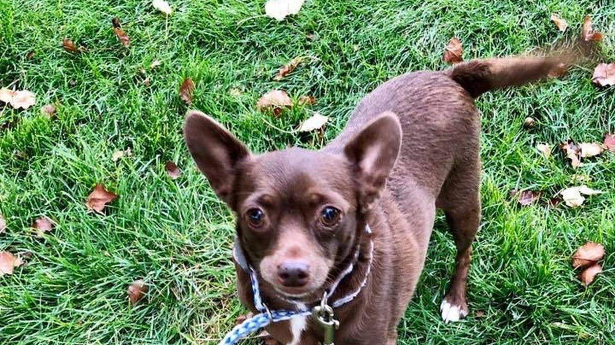 Roxy
