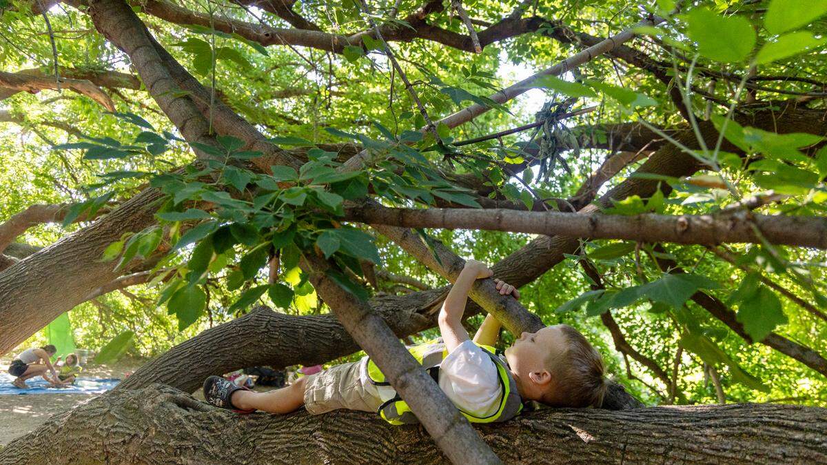 Lincoln Iverson, 5, finds a shady spot to lie down at Veterans Memorial Park in Boise on Thursday. Iverson was attending the EverWild Forest School summer camp.