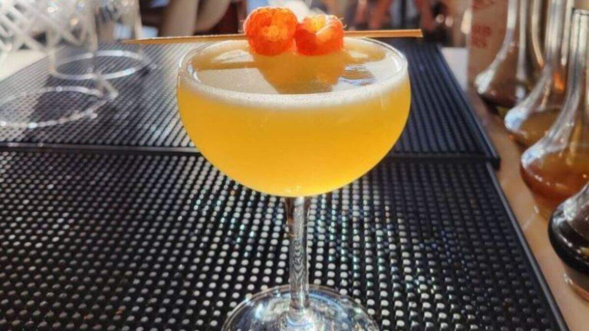 An R&R at Wild Root Cafe & Cocktails: Muddled fresh rose raspberries, rhubarb, honey reduction, lemon juice and Flor de Cana Rum. The new lounge downstairs will share Wild Root’s liquor license.