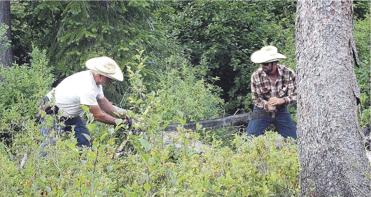 Grant Elliott and Jon Binninger use a crosscut saw to take out a tree blocking a trail in the Selway-Bitterroot. A reduction in U.S. Forest Service trail funding means that visitors often have to contend with downed trees and brushy trails around Idaho.