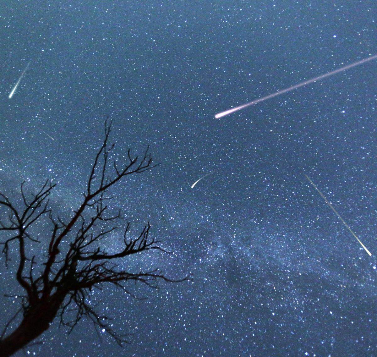 Here’s when to see the “buck” moon peak over Kentucky, as well as the beginning of the popular Perseid meteor shower, seen in this file photo.