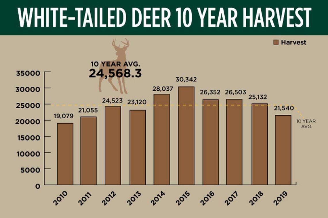 White-tailed deer harvest dropped in Idaho in 2019.