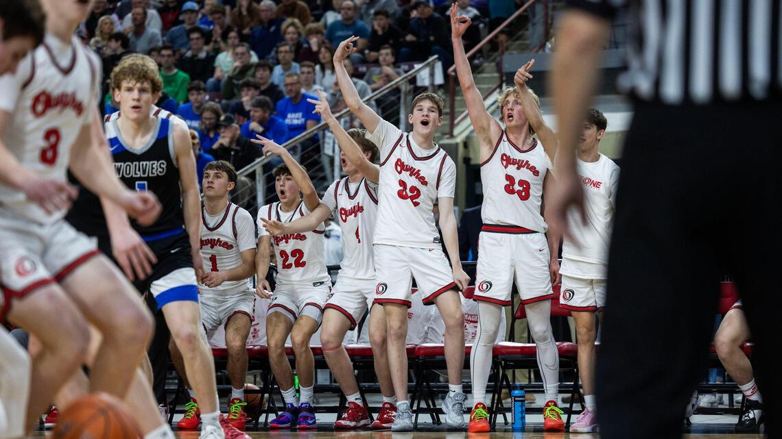 Idaho boys basketball rankings: The early-season favorites in each classification