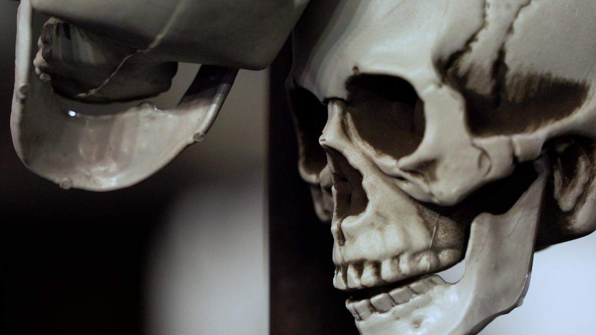 Boise State debuted its turnover skulls last weekend at Oregon State.