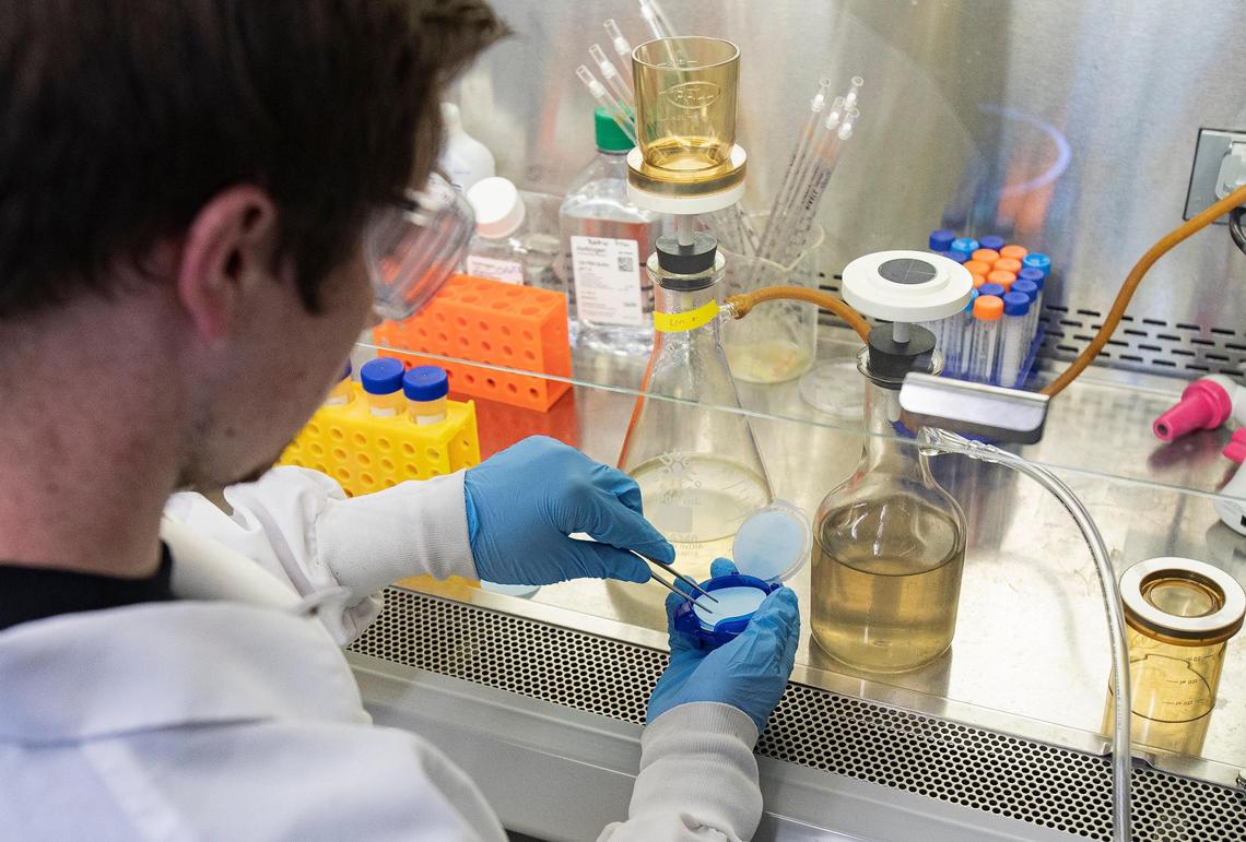 Boise State University biology lab Ernie Ogden grabs a filter to use for the school’s project to detect levels of COVID-19 in the city’s wastewater. Health experts suspect more cases of the omicron variant have already arrived in Idaho.