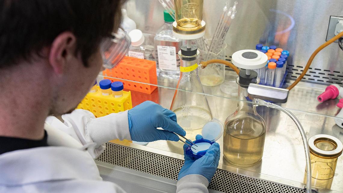 COVID in Boise wastewater is highest it’s been in 2 years. This is what to know.