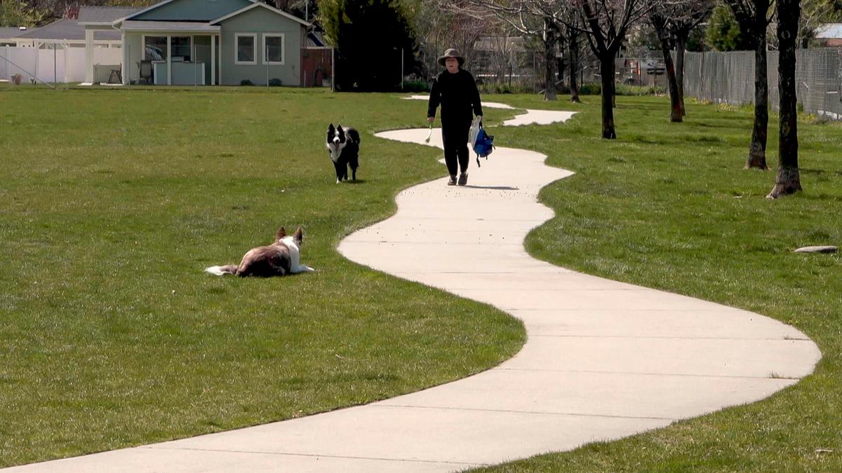 Rita Weyand of Boise walks with two border collies Pearl and Jackson at Optimist Youth Sports Complex along Hill Road in Northwest Boise Thursday, April 16, 2020.
