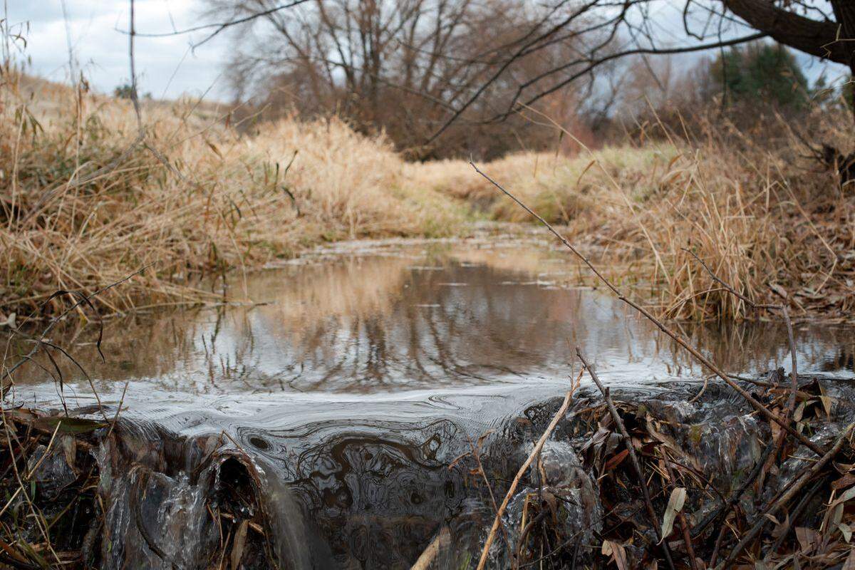 Water pours over a beaver dam on Nov. 5, 2020, in the Palouse. Upstream and just out of sight of this photo was a larger, 6-foot-tall dam.