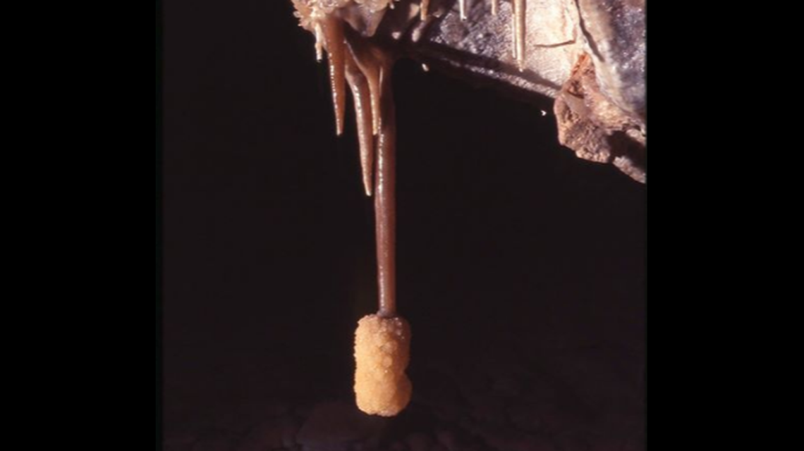 This cave formation in South Dakota is technically known as a bottle brush, but social media has dubbed it the “Tater Tot crystal.”