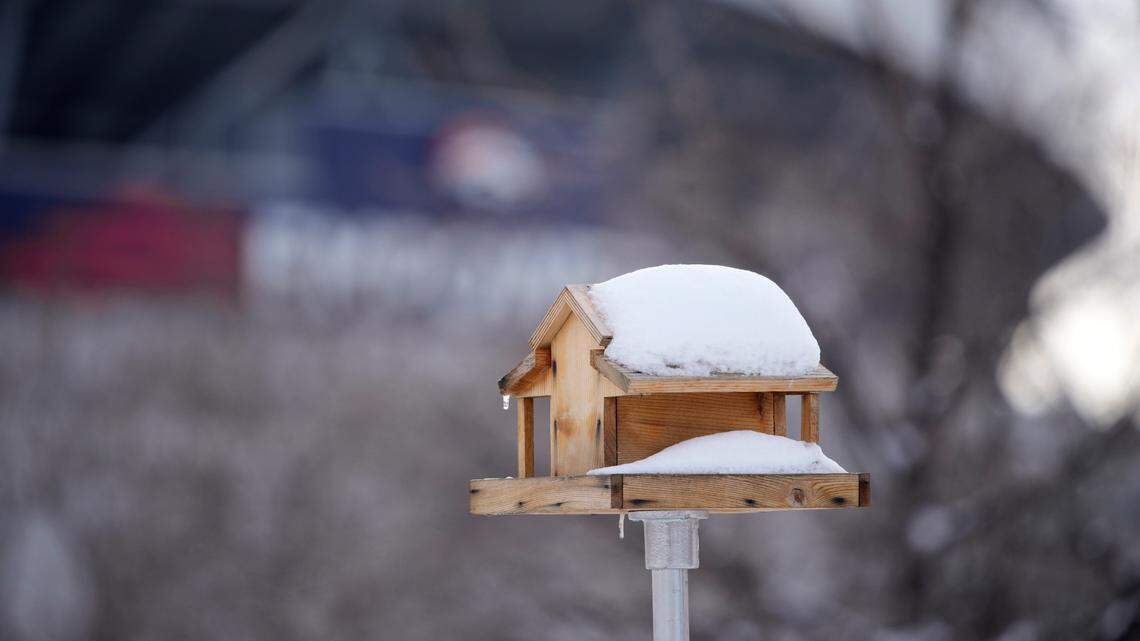 Snow tops a bird house situated on the grounds of the Children’s Museum of Denver. A 61-year-old woman and her dog were rescued in minus-15-degree weather at night on Grand Mesa in Colorado, sheriff’s officials said.