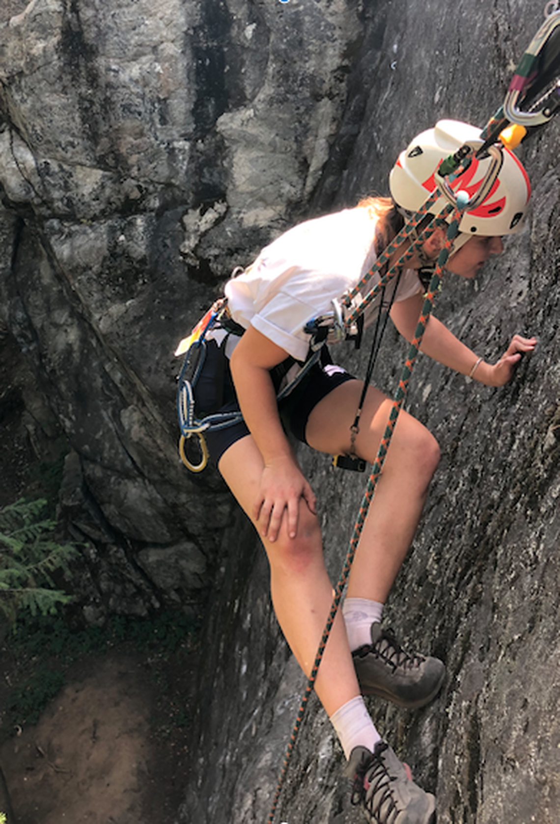 Biologist Giovanna Bishop surveys a cliff at the McClellan Conservation area.