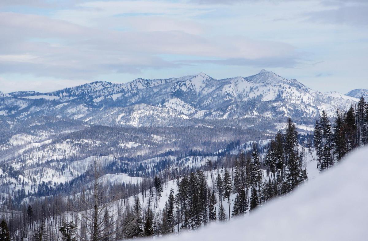 Accumulated snow in the mountains of Boise County, near Lowman, after snow storms in late December and early January.