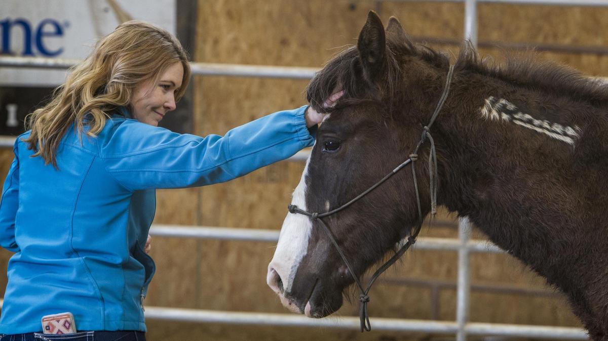 Stormy, an adopted wild mustang, enjoys a rub on her forhead from owner Jamece Vincent near the end of a round-pen training session Tuesday, April 9, 2019. “It’s truly magical,” Vincent said. “On March 22 (adoption day), I couldn’t touch her at all. She was just gathered from the wild in September 2018.”