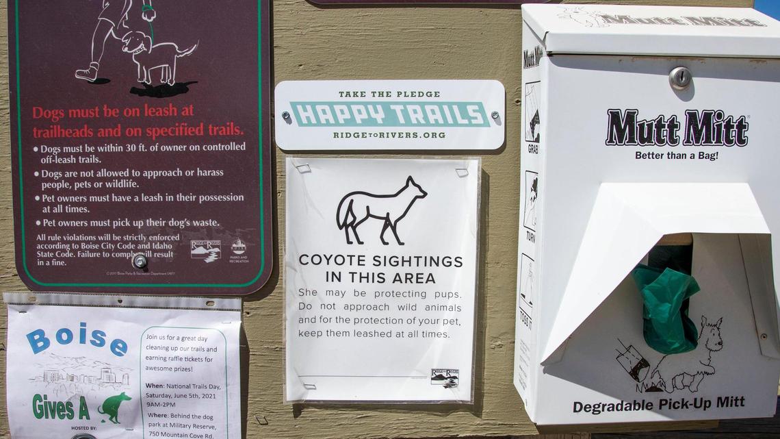 A trailhead sign posted in June of 2021 warns dog owners about the possibility of encountering coyotes that might be guarding their pups this time of year. Fish and Game believes a coyote may have killed a dog in a nearby backyard.