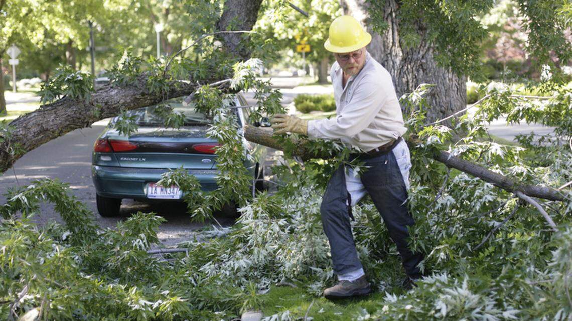 In this file photo, an arborist helps remove a tree branch that fell on a car along Harrison Boulevard. Boise city foresters are spending most of their time this summer removing fallen tree branches.