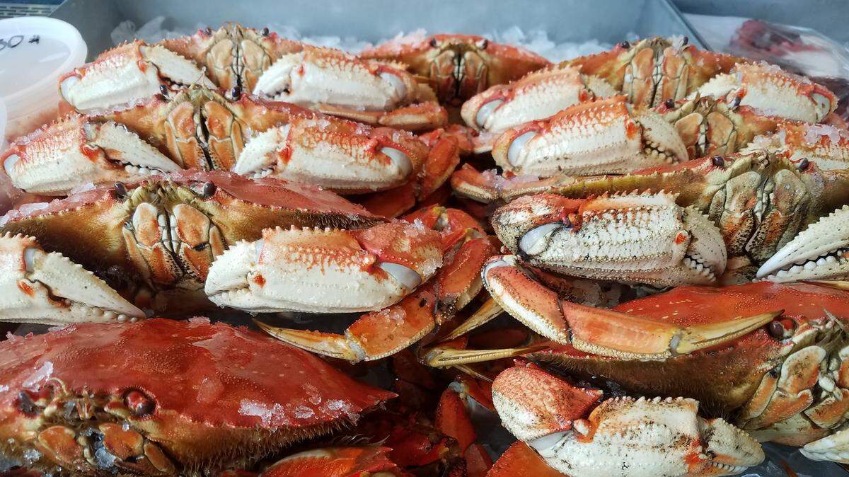 Selling fresh seafood, Reel Foods relocated to Vista Village shopping center in 2018.