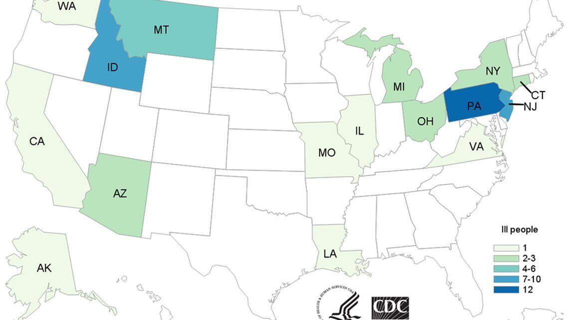 Fifty-three people in the United States have been infected with E. coli bacteria after eating romaine lettuce from Yuma, Arizona, including 10 from Idaho.