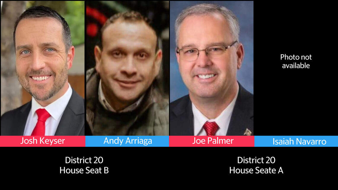 Who’s running for Legislative District 20? See the candidates and what they say