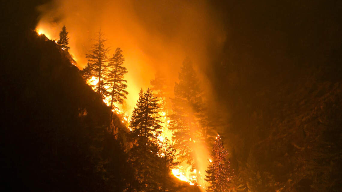 What Idaho scientist says about ‘trillions of microbes’ in wildfire smoke and our health