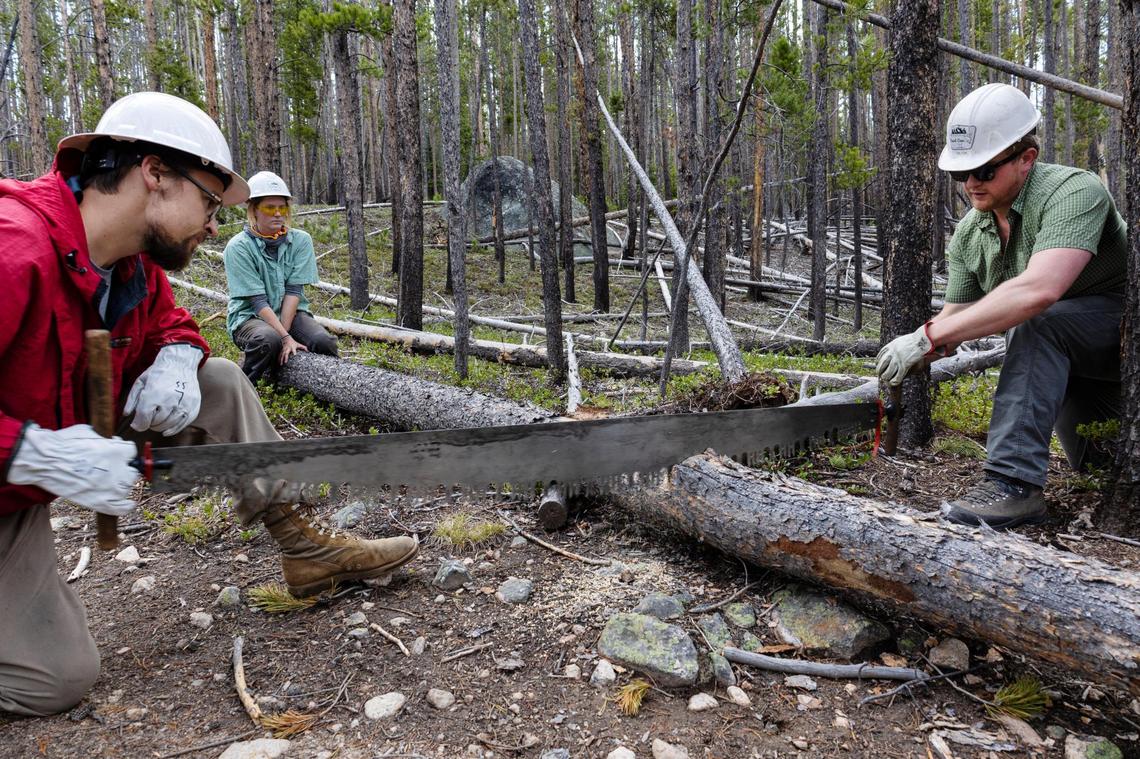 Henry Vaughan, Hannah Fobert and Dalton Warr of the Sawtooth Society use handsaws to clear a fallen tree from a trail in the Sawtooth National Recreation Area on June 2. Volunteer groups, such as the Sawtooth Society, provide much of the maintenance of the hundreds of miles of trails in the SNRA.