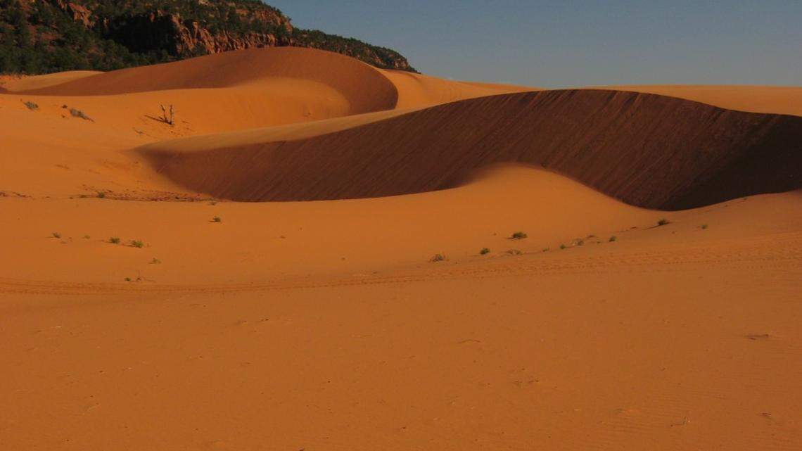 A 13-year-old died after he was buried in sand at Coral Pink Sand Dunes State Park.