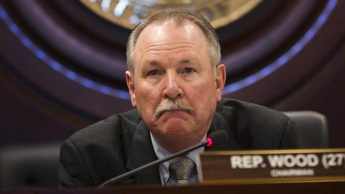 House Health and Welfare Committee Chairman Fred Wood, R-Burley.