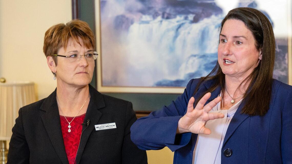 Idaho Democrats rethink tactics after opening votes on ‘divisive’ issues draw backlash