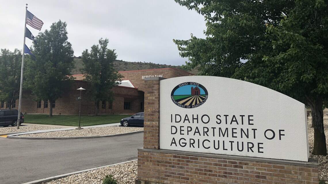 A dozen Idaho workers got sick at a hop farm. Ag dept. says it can’t find lab to find out why