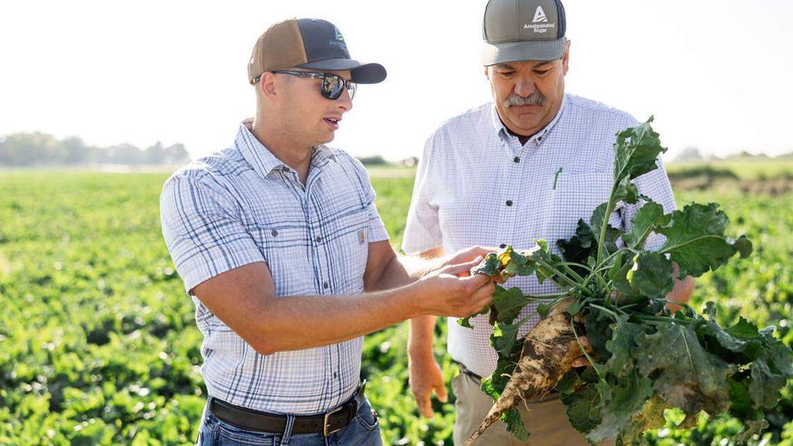 This was the Idaho crop that ‘paid the mortgage.’ Why are farmers struggling?