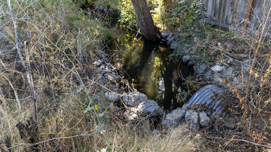 An irrigation canal near 32nd Street and Hill Road in Boise was found to be flooding the area in September after heavy rain. Boise City Canal Company contacted the Ada County Highway District to alert them they were seeing reduced water flows in the irrigation canal. ACHD investigated and found a 48-inch metal pipe, at least 40 years old, had partially rusted away, allowing tree roots to cause serious damage.